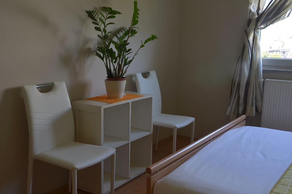 Apartman Ana Pula - Calm, Free Parking, Close To Center エクステリア 写真